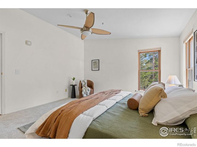 880 Hummer Drive, Nederland, CO 80466