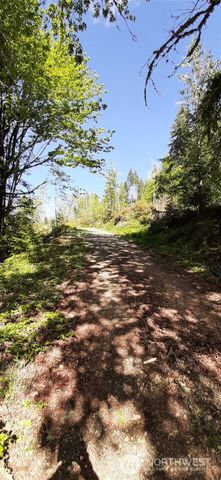 101 NE WJ Way, Belfair, WA 98528