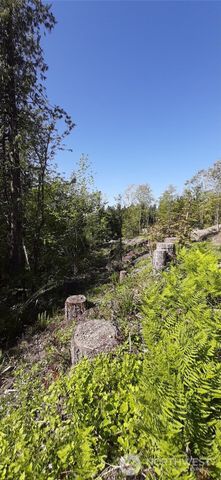 101 NE WJ Way, Belfair, WA 98528