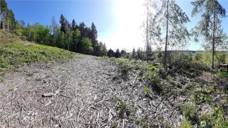 101 NE WJ Way, Belfair, WA 98528