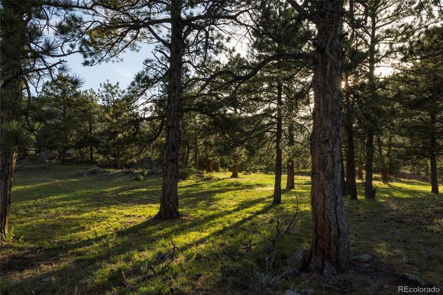 73 Canyon Pines Drive, Arvada, CO 80403