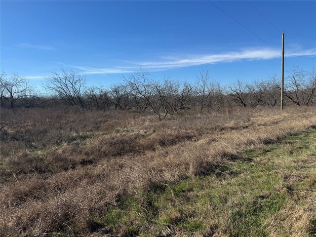 2.29Acres Boren Private Road, Wortham, TX 76693