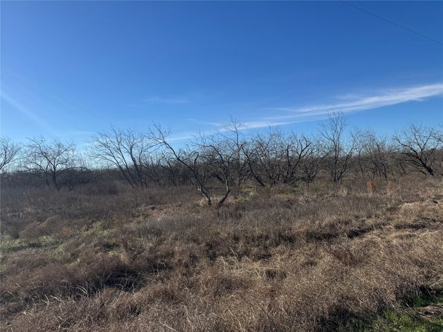 2.29Acres Boren Private Road, Wortham, TX 76693