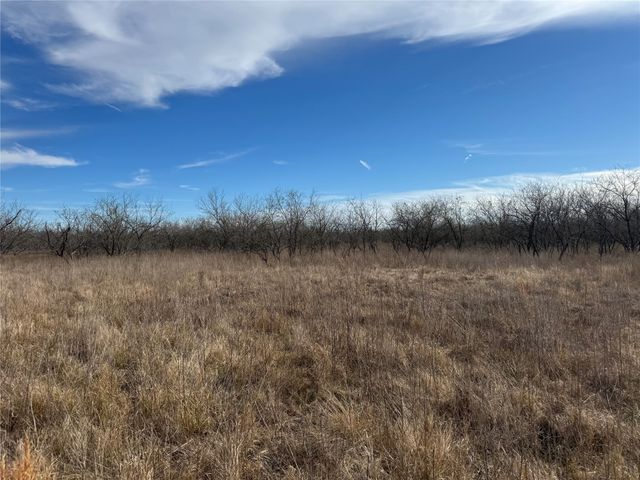 2.29Acres Boren Private Road, Wortham, TX 76693