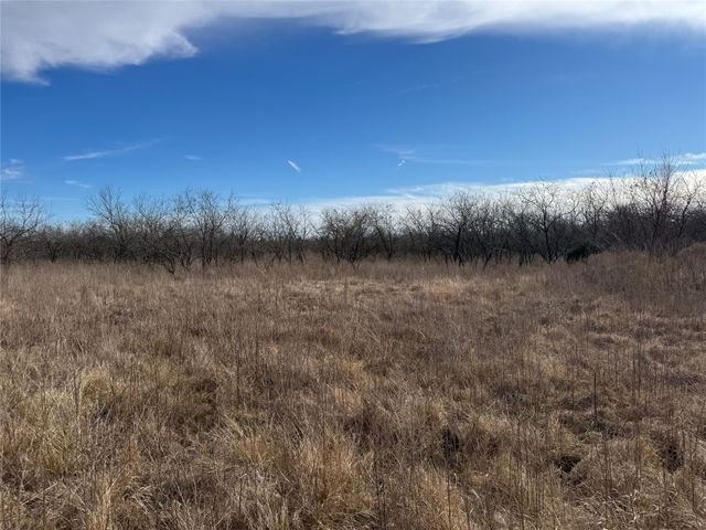 2.29Acres Boren Private Road, Wortham, TX 76693