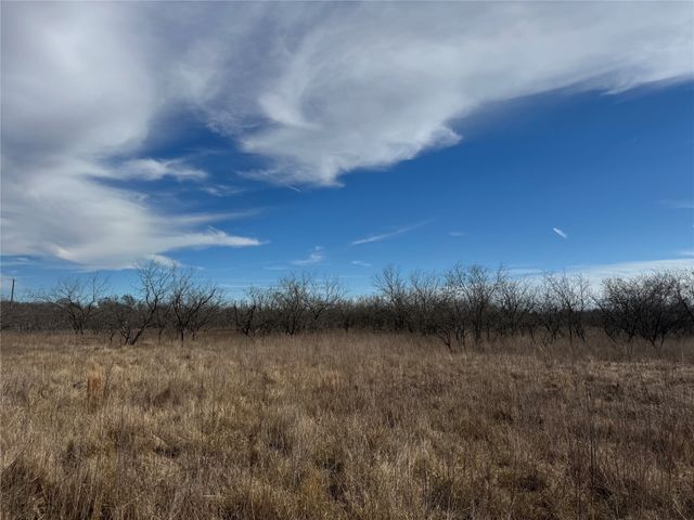 2.29Acres Boren Private Road, Wortham, TX 76693