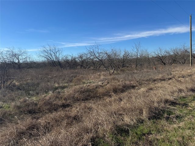 2.29Acres Boren Private Road, Wortham, TX 76693
