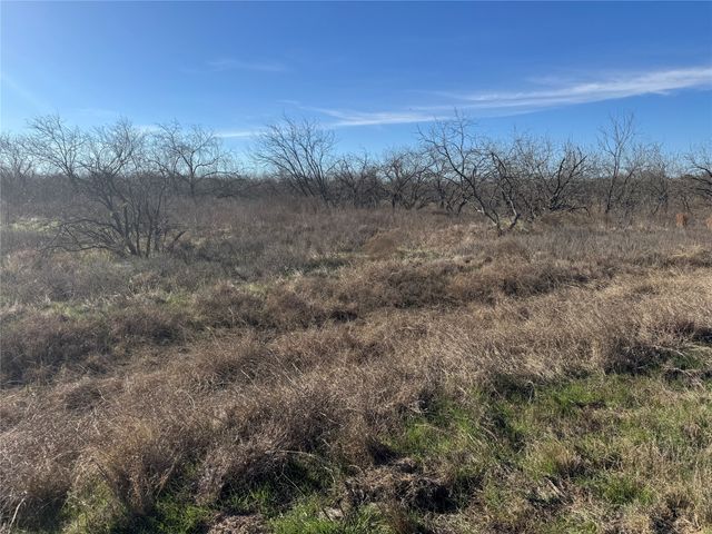 2.29Acres Boren Private Road, Wortham, TX 76693