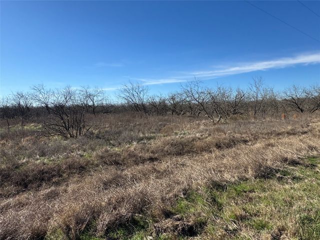 2.29Acres Boren Private Road, Wortham, TX 76693