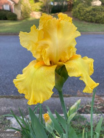 366 Silverthorn Drive NW, Marietta, GA 30064