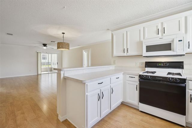 9603 SE 171ST ARGYLL STREET, The Villages, FL 32162