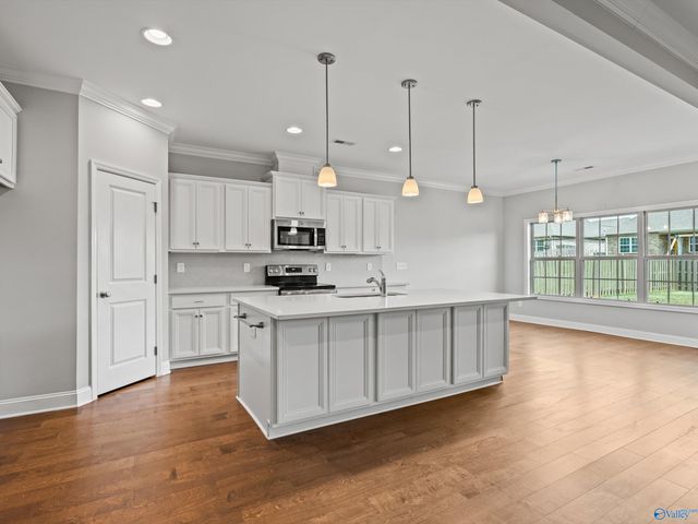 204 Dustin Lane NW, Madison, AL 35757