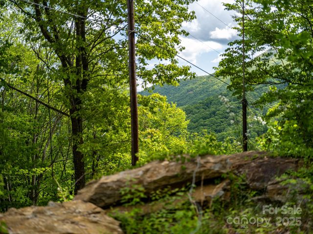1851 Newfound Road, Leicester, NC 28748