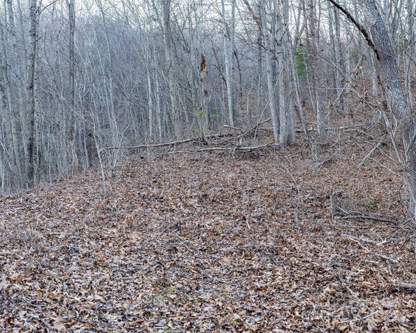 1851 Newfound Road, Leicester, NC 28748