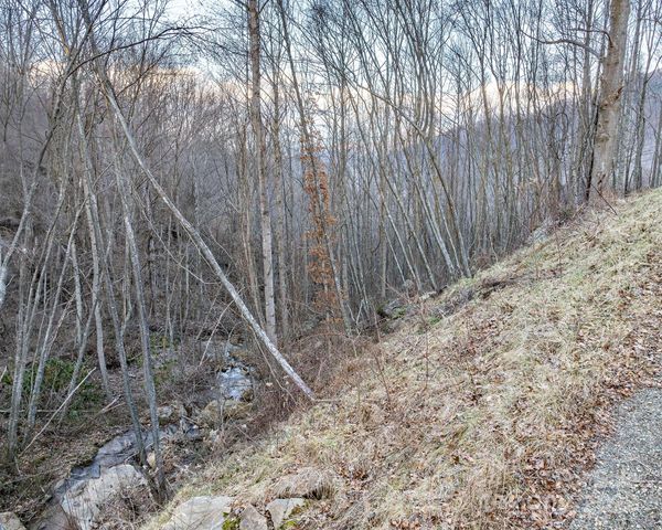 1851 Newfound Road, Leicester, NC 28748