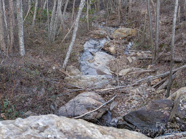 1851 Newfound Road, Leicester, NC 28748
