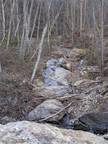 1851 Newfound Road, Leicester, NC 28748