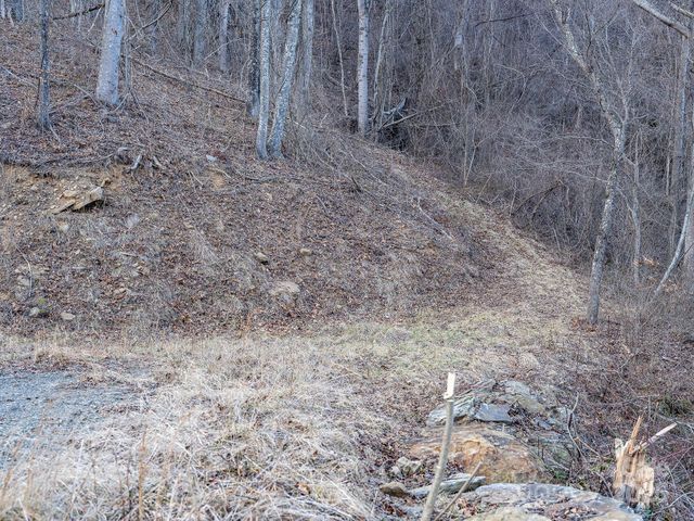 1851 Newfound Road, Leicester, NC 28748