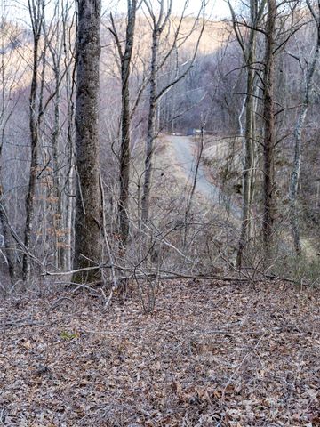1851 Newfound Road, Leicester, NC 28748