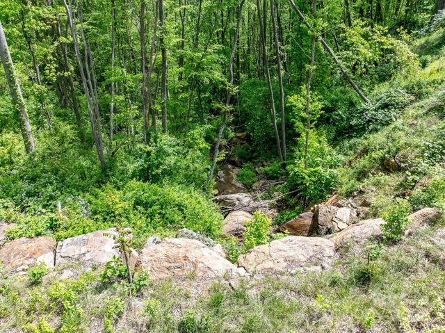1851 Newfound Road, Leicester, NC 28748