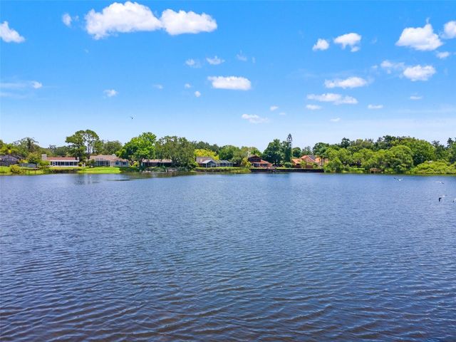 4315 ROUND LAKE, Tampa, FL 33618