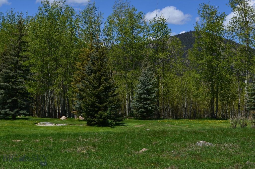 155 Moose Run, Polaris, MT 59746 photo 55