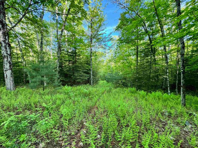 000 Slate Ledge Road, Littleton, NH 03561