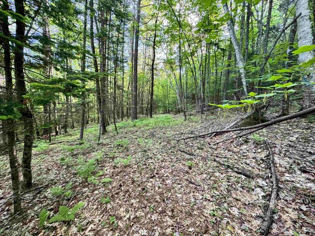 000 Slate Ledge Road, Littleton, NH 03561