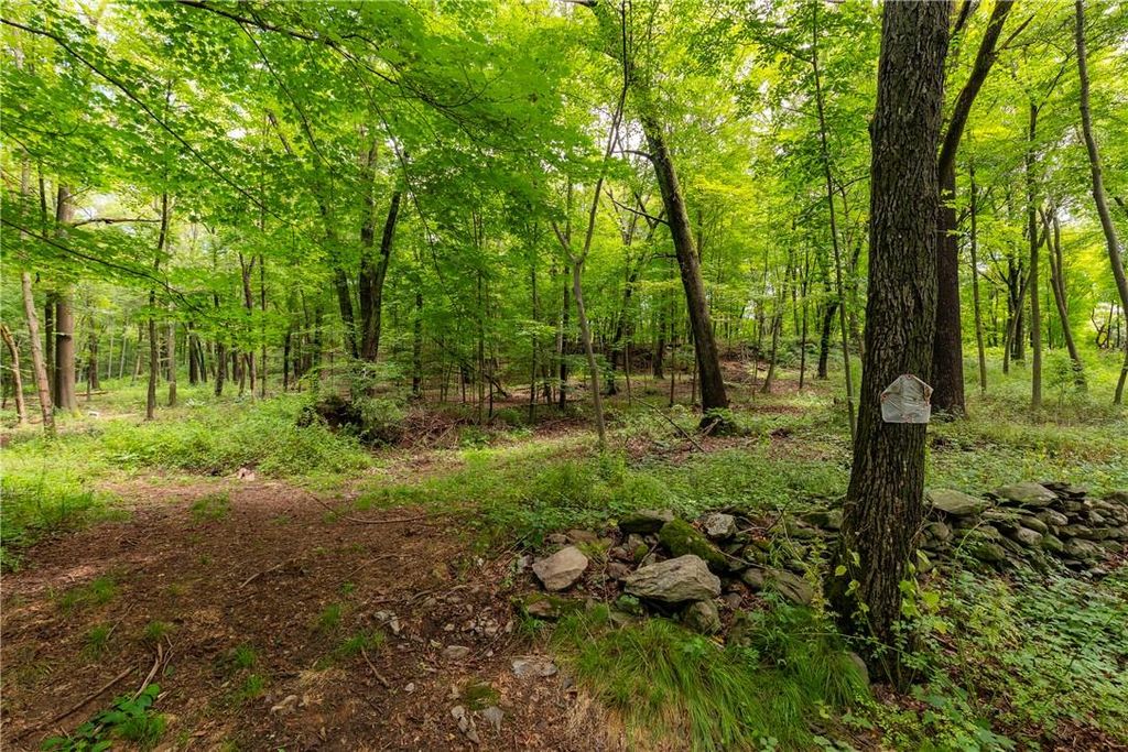 Arthursburg Road, Lagrangeville, NY 12540
