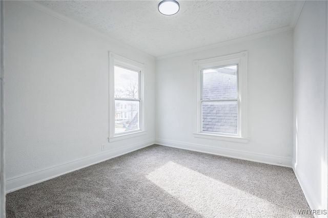 33 Wolff Street, Rochester, NY 14606