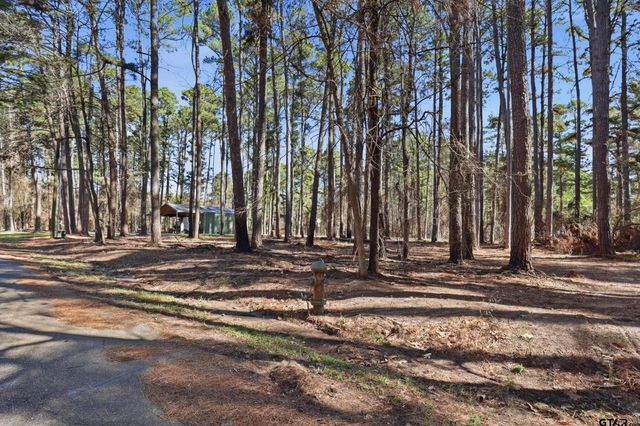 429 Wildwood Trl, Mt Vernon, TX 75457