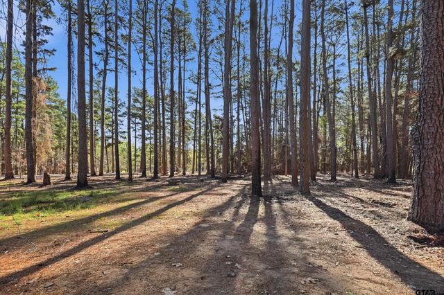 429 Wildwood Trl, Mt Vernon, TX 75457