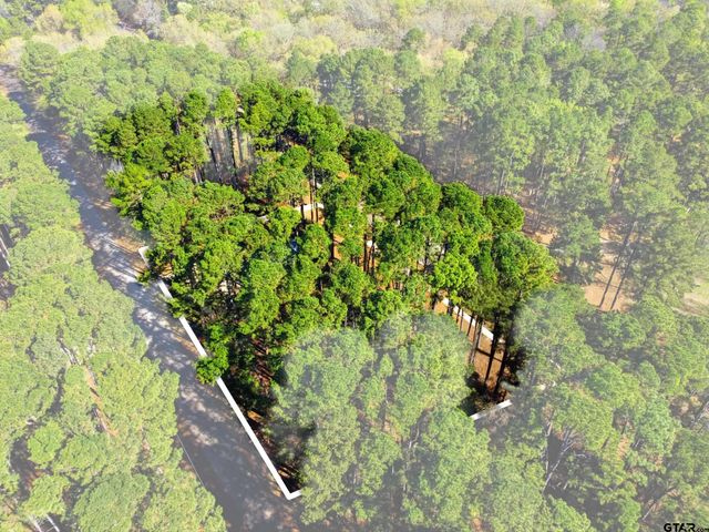 429 Wildwood Trl, Mt Vernon, TX 75457