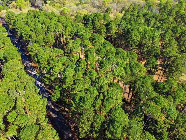 429 Wildwood Trl, Mt Vernon, TX 75457