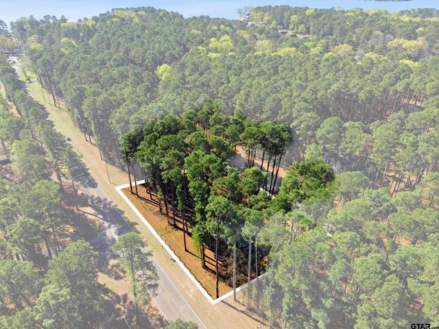 429 Wildwood Trl, Mt Vernon, TX 75457