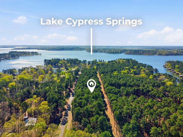 429 Wildwood Trl, Mt Vernon, TX 75457