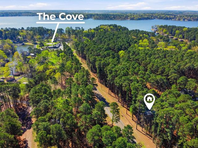 429 Wildwood Trl, Mt Vernon, TX 75457