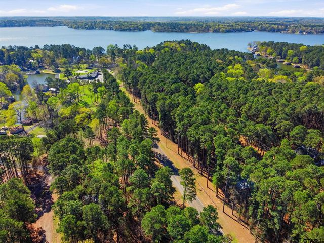 429 Wildwood Trl, Mt Vernon, TX 75457