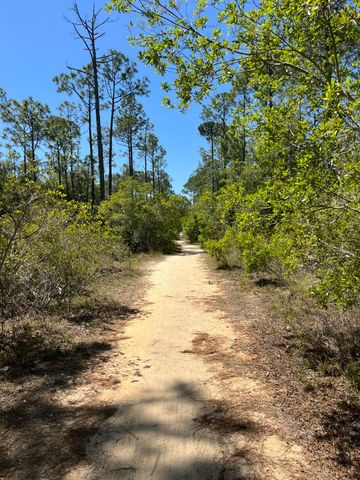 305 Flatwoods Forest Loop, Santa Rosa Beach, FL 32459