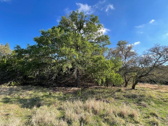 1400 Greer Lane, Burnet, TX 78611