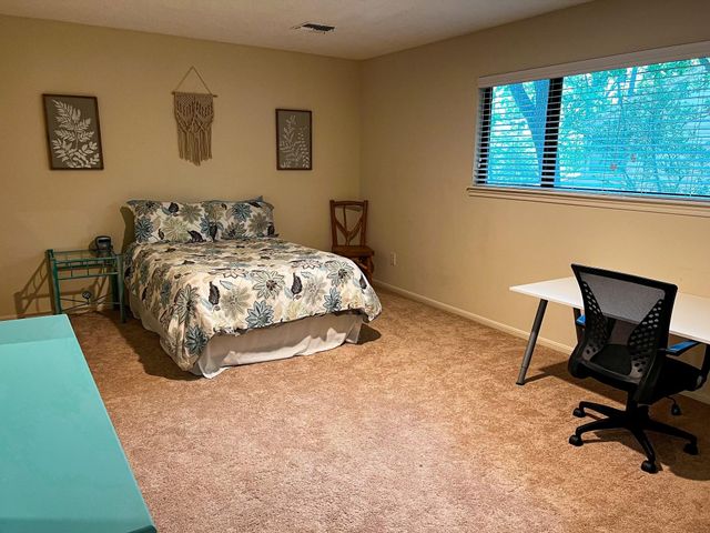 28 Tangle Brush Drive, The Woodlands, TX 77381