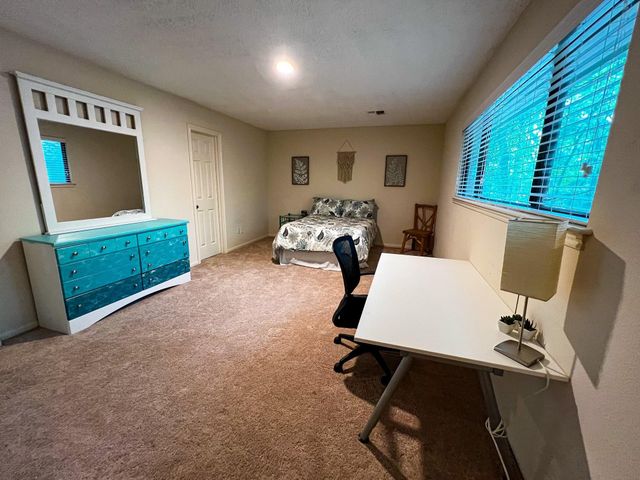 28 Tangle Brush Drive, The Woodlands, TX 77381