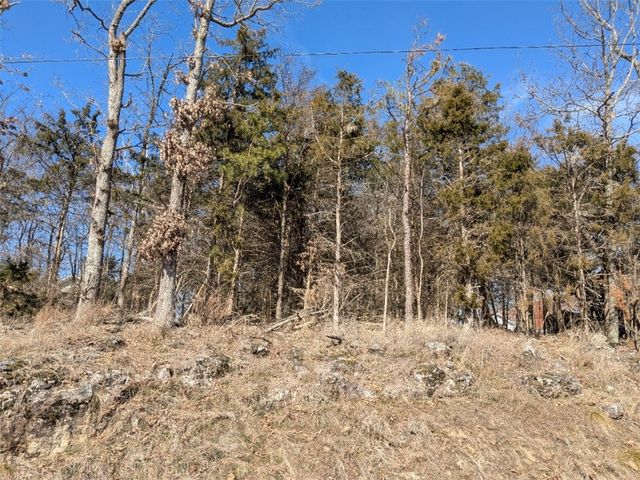 TBD Merion Drive, Holiday Island, AR 72631