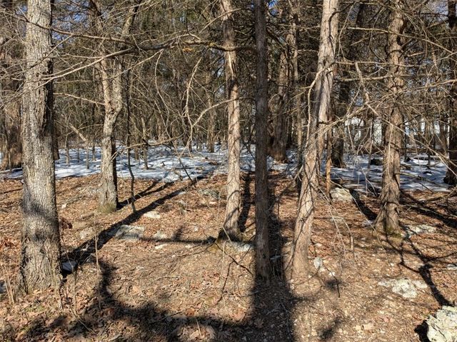 TBD Merion Drive, Holiday Island, AR 72631