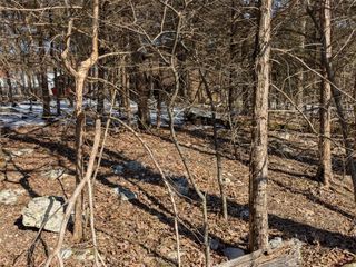 TBD Merion Drive, Holiday Island, AR 72631