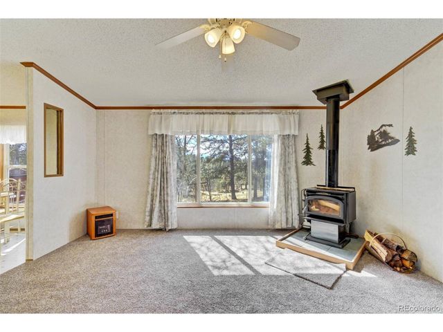 1360 Kiowa Rd, Florissant, CO 80816