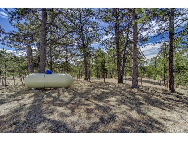 1360 Kiowa Rd, Florissant, CO 80816