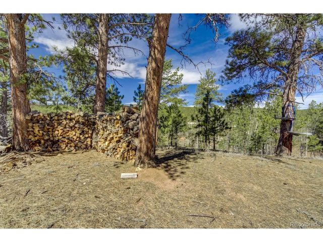 1360 Kiowa Rd, Florissant, CO 80816