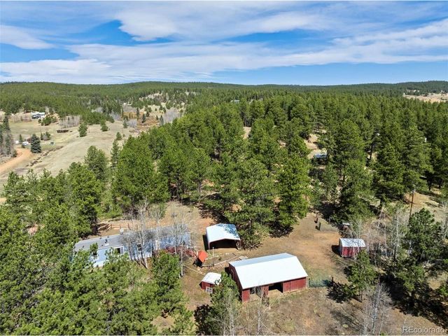 1360 Kiowa Rd, Florissant, CO 80816