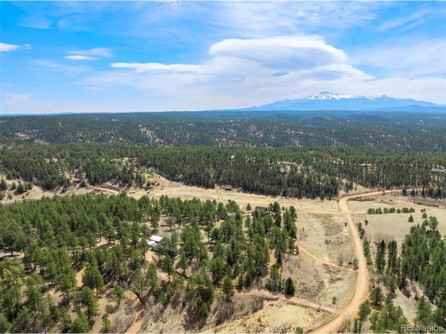 1360 Kiowa Rd, Florissant, CO 80816